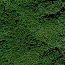 Satellite imagery of Peckerwood Ridge, US