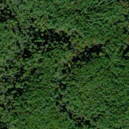 Satellite imagery of Peckerwood Ridge, US