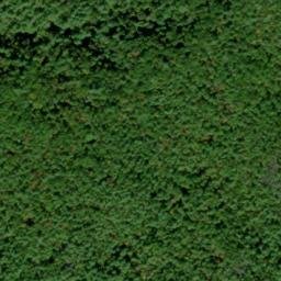 Satellite imagery of Coalen Ground Ridge, US