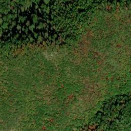 Satellite imagery of Cobb Ridge, US