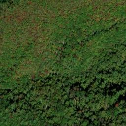 Satellite imagery of Cobb Ridge, US