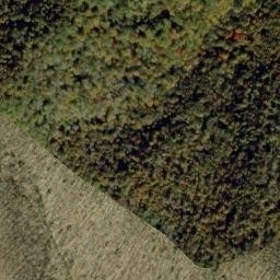 Satellite imagery of Starkey Ridge, US