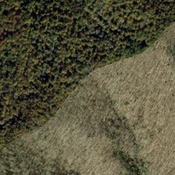 Satellite imagery of Starkey Ridge, US