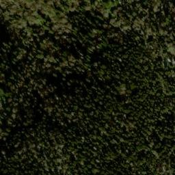 Satellite imagery of Jenkins Ridge, US