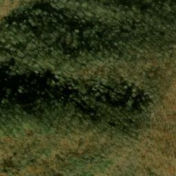 Satellite imagery of Beetree Ridge, US
