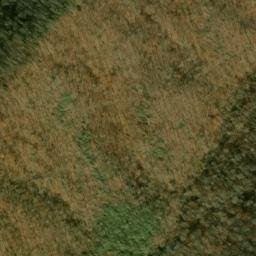 Satellite imagery of Beetree Ridge, US