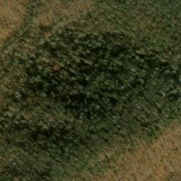 Satellite imagery of Beetree Ridge, US