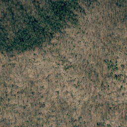 Satellite imagery of Richland Mountain Ridge, US