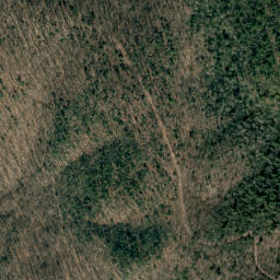 Satellite imagery of Red Spur, US