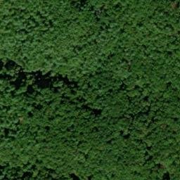 Satellite imagery of Peckerwood Ridge, US