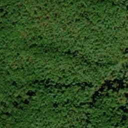 Satellite imagery of Peckerwood Ridge, US