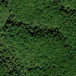 Satellite imagery of Peckerwood Ridge, US