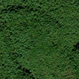 Satellite imagery of Coalen Ground Ridge, US