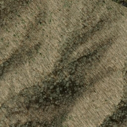 Satellite imagery of Chestnut Ridge, US