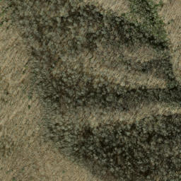 Satellite imagery of Starkey Ridge, US