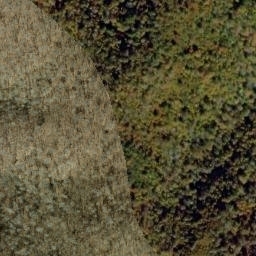Satellite imagery of Proctor Ridge, US