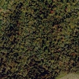 Satellite imagery of Proctor Ridge, US