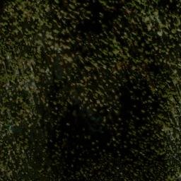 Satellite imagery of Loggy Ridge, US