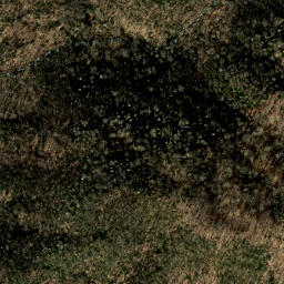 Satellite imagery of Heintooga Ridge, US
