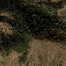 Satellite imagery of Heintooga Ridge, US