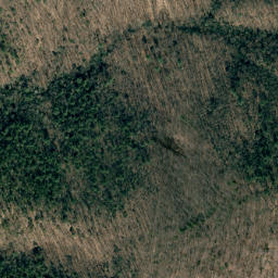 Satellite imagery of Red Spur, US