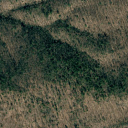 Satellite imagery of Red Spur, US