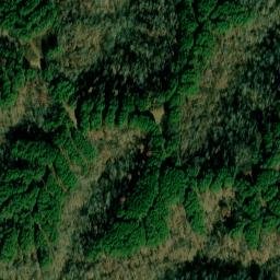 Satellite imagery of Sassafras Stand Ridge, US