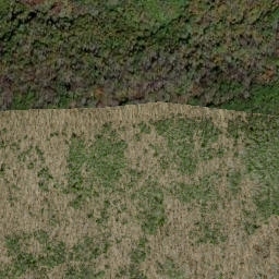 Satellite imagery of Russell Field, US