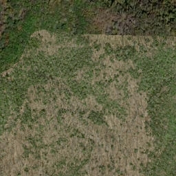 Satellite imagery of Russell Field, US