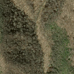 Satellite imagery of Saddleback Ridge, US