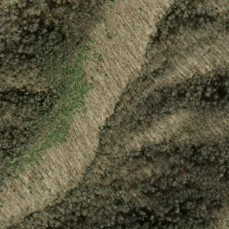 Satellite imagery of Chestnut Ridge, US