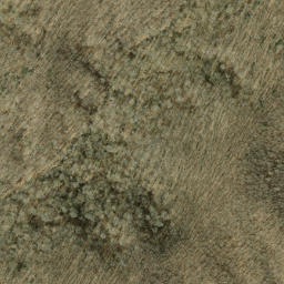 Satellite imagery of Starkey Ridge, US
