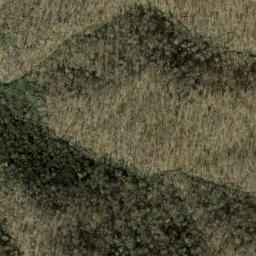 Satellite imagery of Long Cove Ridge, US
