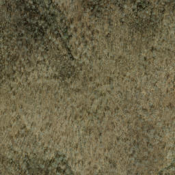 Satellite imagery of Proctor Ridge, US