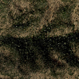 Satellite imagery of Heintooga Ridge, US
