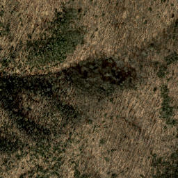Satellite imagery of Heintooga Ridge, US