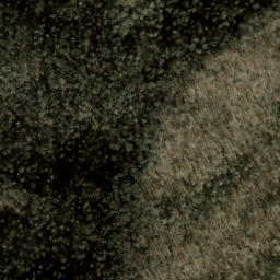 Satellite imagery of Service Ridge, US