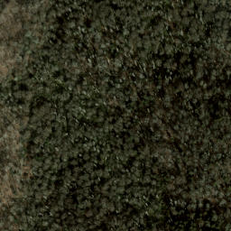 Satellite imagery of Service Ridge, US