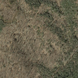 Satellite imagery of Buck Ridge, US