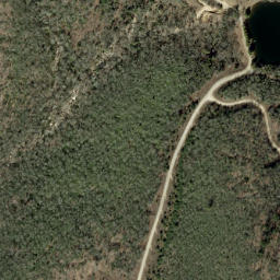 Satellite imagery of Buck Ridge, US