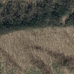Satellite imagery of Big Ridge, US