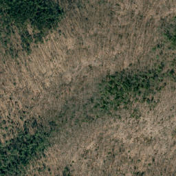 Satellite imagery of Red Spur, US