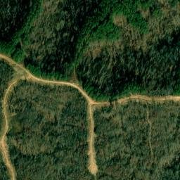 Satellite imagery of Sassafras Stand Ridge, US