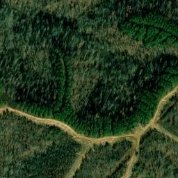 Satellite imagery of Sassafras Stand Ridge, US