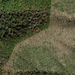Satellite imagery of Russell Field, US