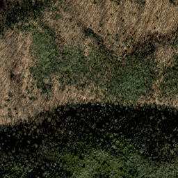 Satellite imagery of Heintooga Ridge, US