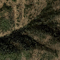 Satellite imagery of Heintooga Ridge, US