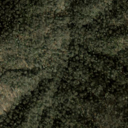 Satellite imagery of Maggot Ridge, US