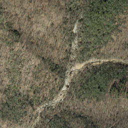 Satellite imagery of Buck Ridge, US