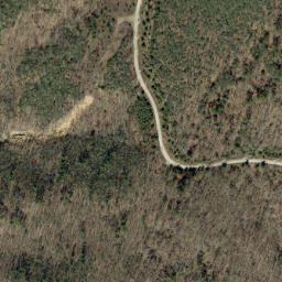 Satellite imagery of Buck Ridge, US
